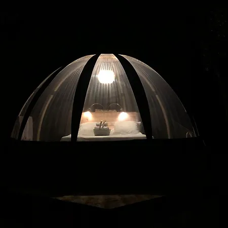 Palom'bolla *