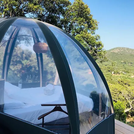 Palom'bolla * بورتو فيكشْيو