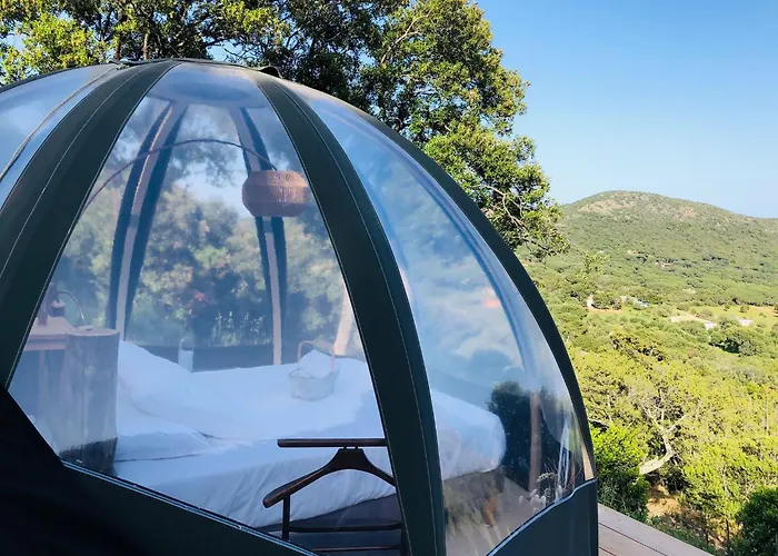 Palom'bolla * بورتو فيكشْيو